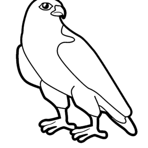 Falcon coloring pages printable for free download