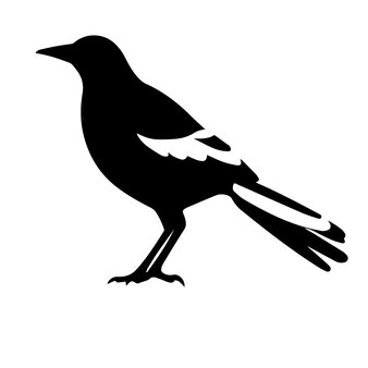 Page chickadee silhouette images