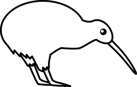 Kiwi bird coloring page free printable coloring pages