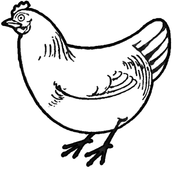 How to draw chickens hens with easy step by step drawing tutorial