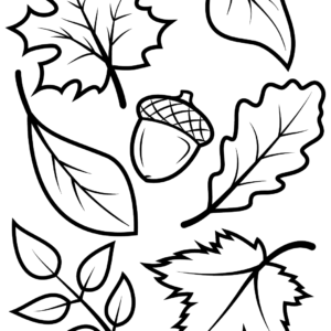 Autumn leaves coloring pages printable for free download