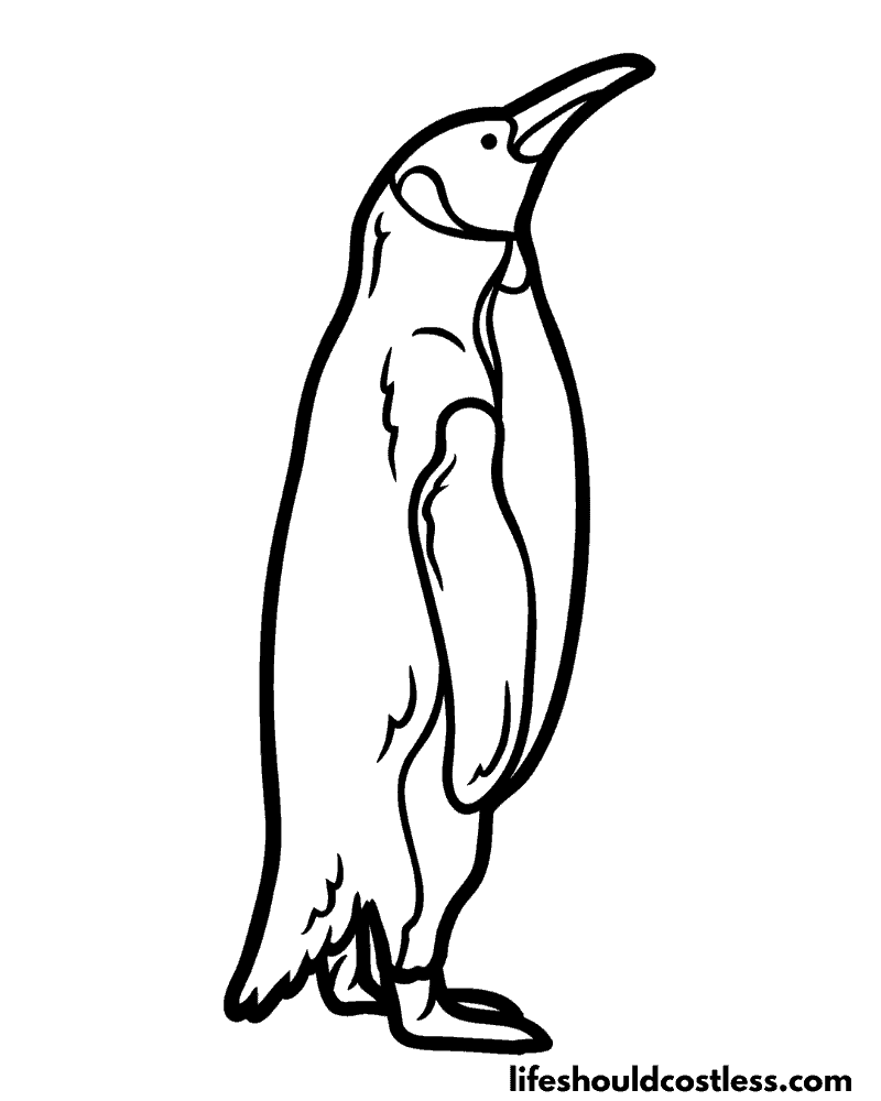 Penguin coloring pages free printable pdf templates