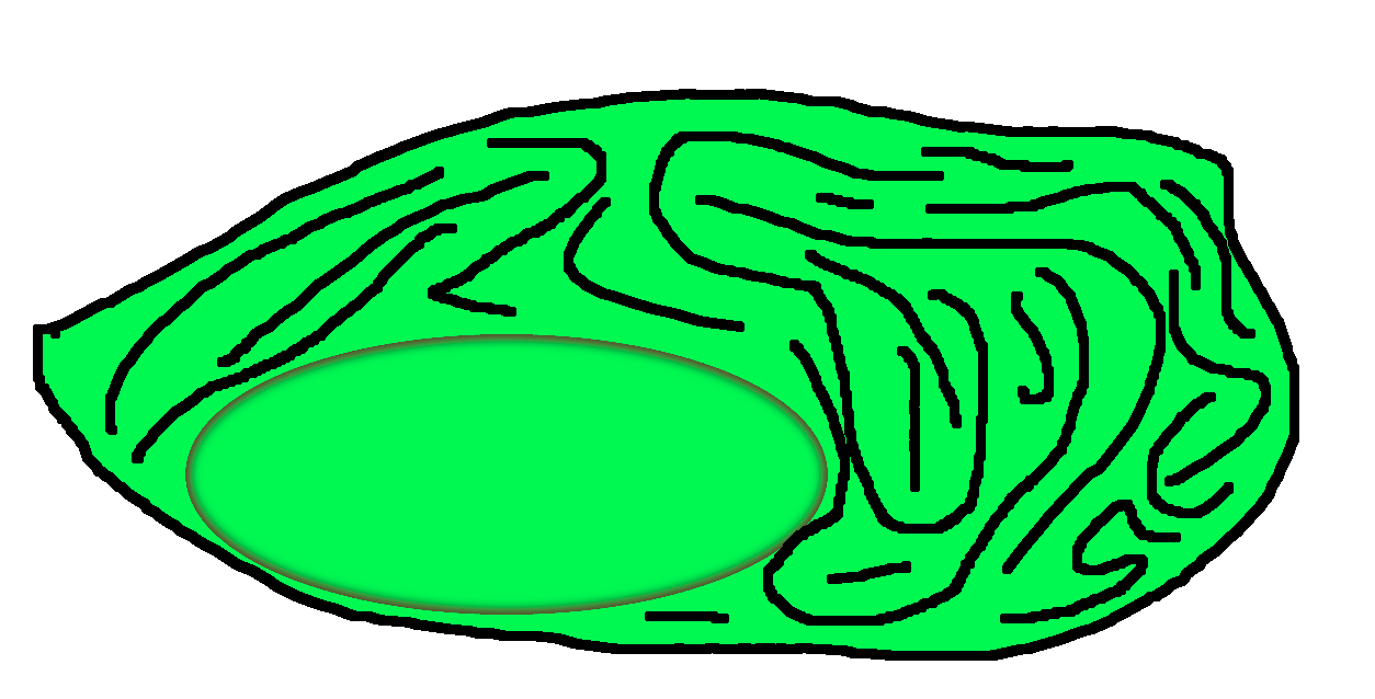The giant poisonous chicken nugget all dimensions wiki