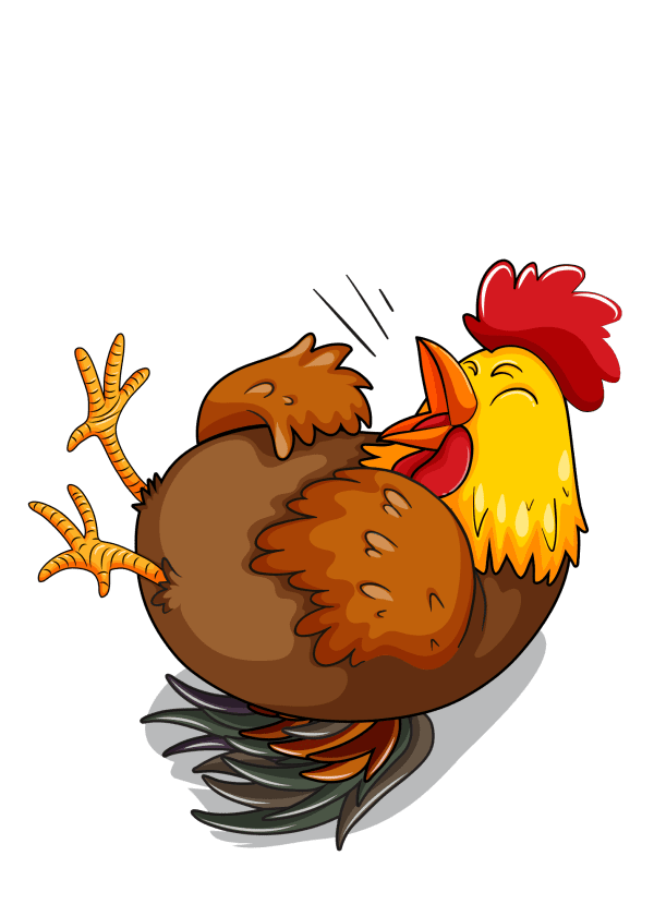Chicken jokes that will make you smile skip to my lou