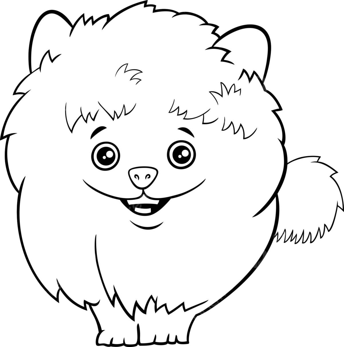 Dwarf dog png transparent images free download vector files