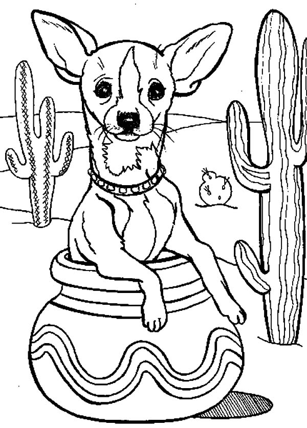 Cactus tree and chihuahua dog inside pottery coloring pages dog coloring page animal coloring pages animal coloring books