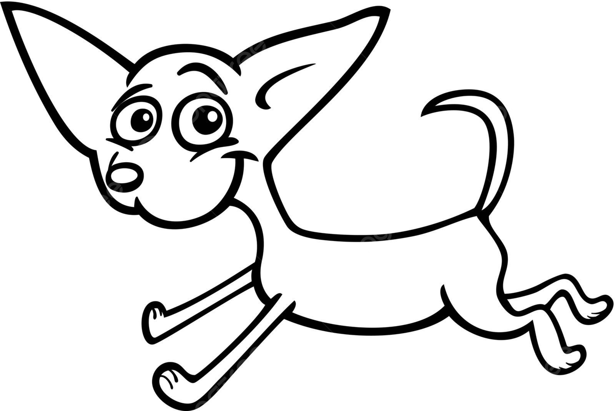 Chihuahua dogs vector art png images free download on