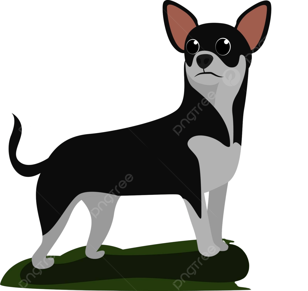 White chihuahua vector art png images free download on