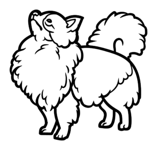 Chihuahua coloring pages printable for free download