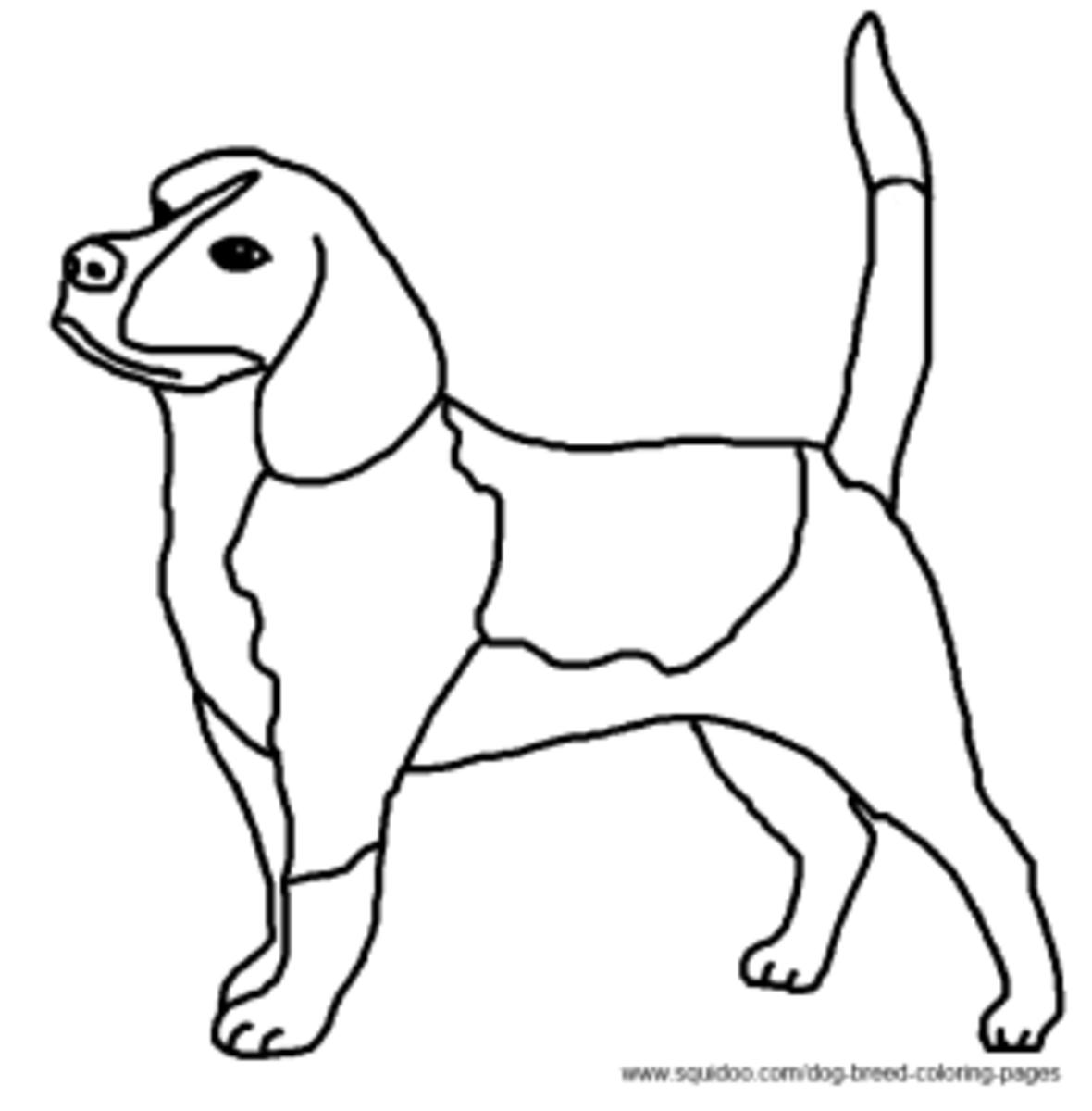 Dog breed coloring pages