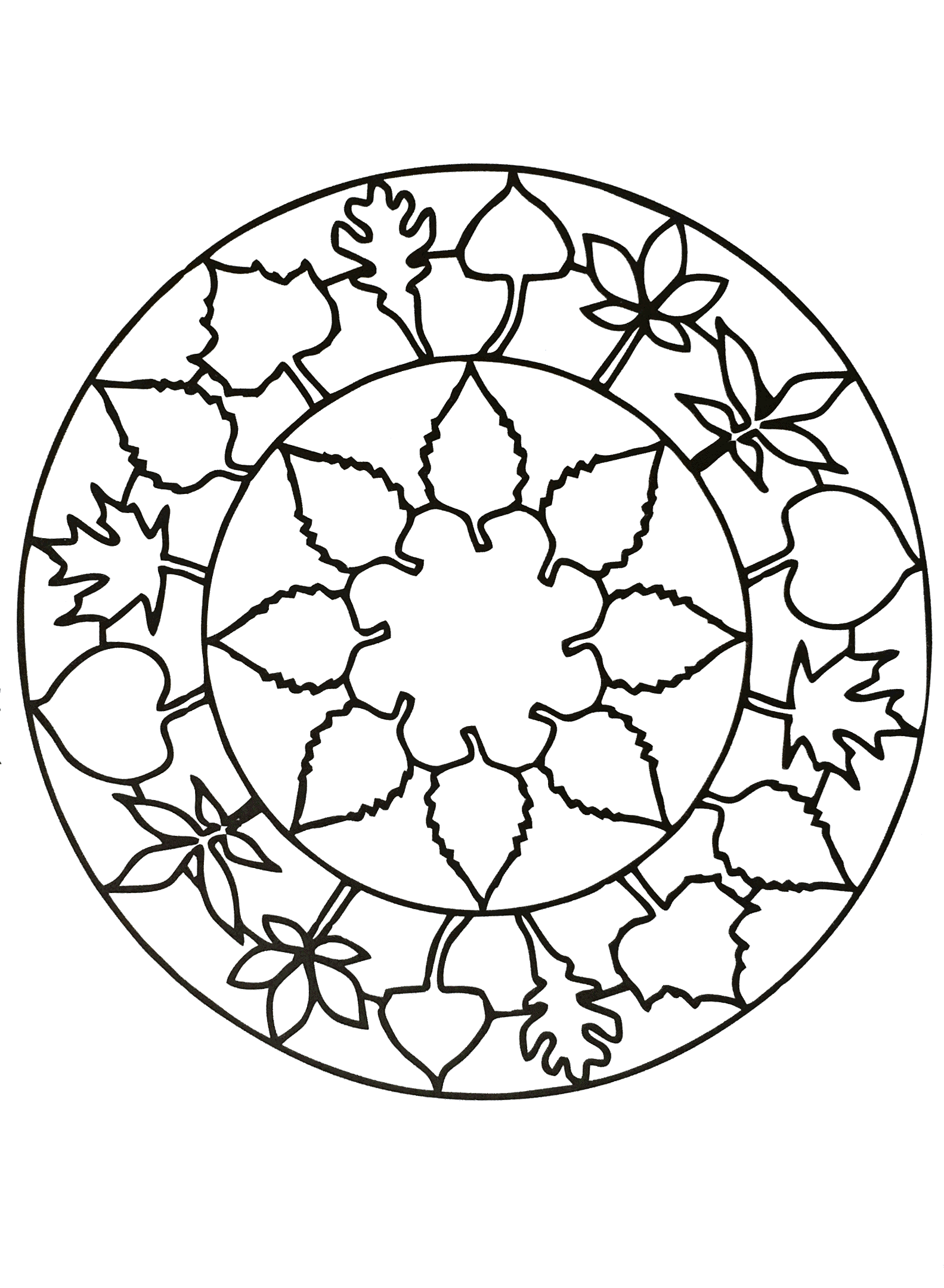 Pin em adult coloring mandala