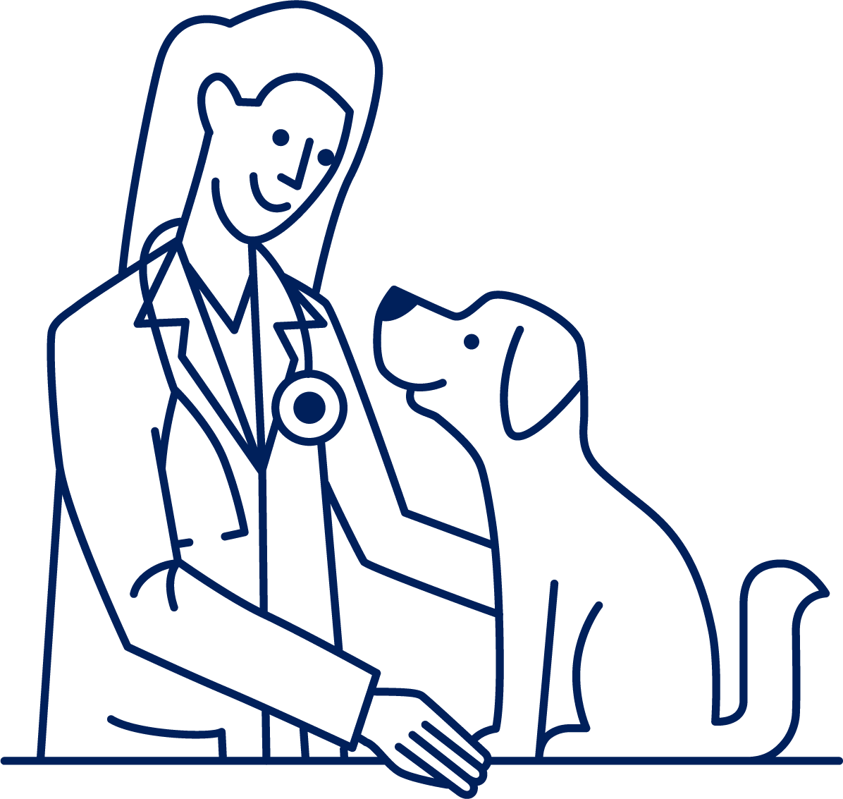 Lyme disease in dogs diagnosis to treatment