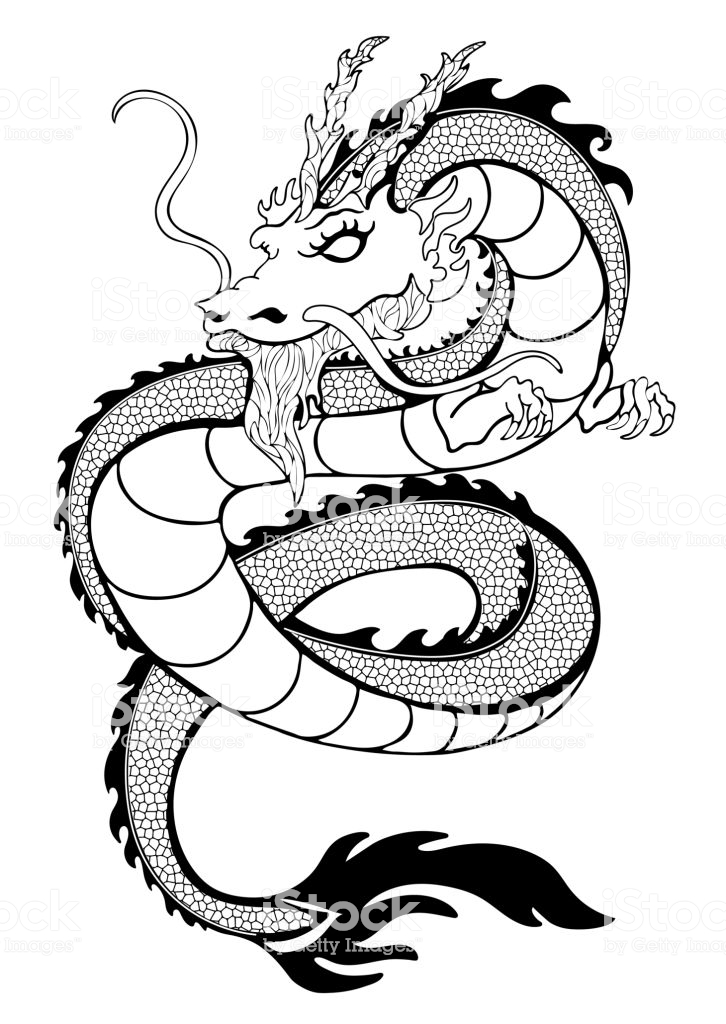 Dragon coloring decorative outline black and white drawing print dessin noir et blanc coloriage dragon dessin