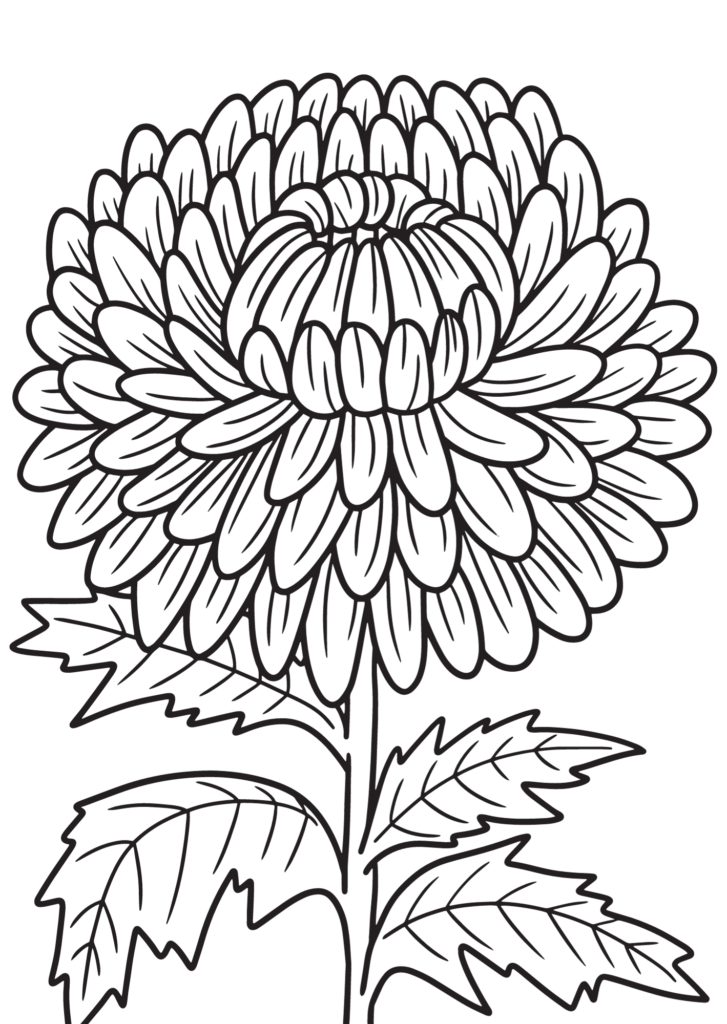 Flower coloring pages for kids adults too â ð â