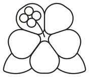 Tropical flowers coloring pages free coloring pages