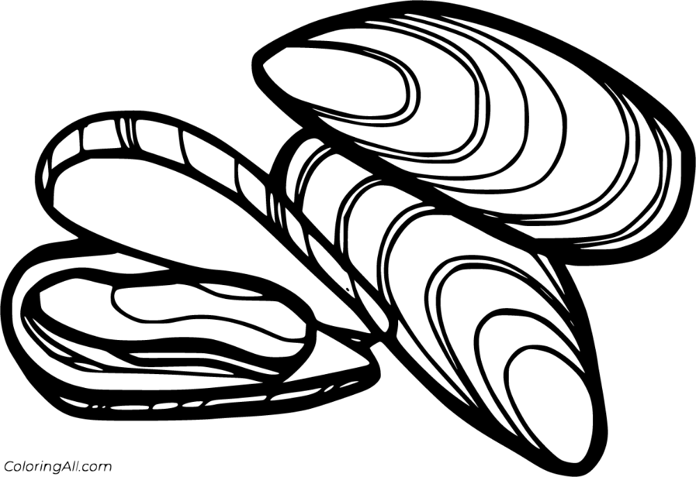 Free printable mussel coloring pages in vector format easy to print from any device and automatically fit any paper â coloring pages mussels printable crafts
