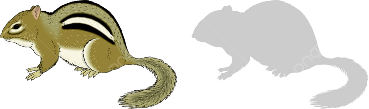 Chipmunks vector art png images free download on