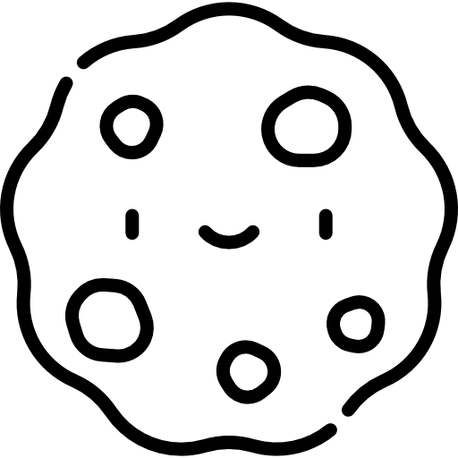 Cookie special lineal icon