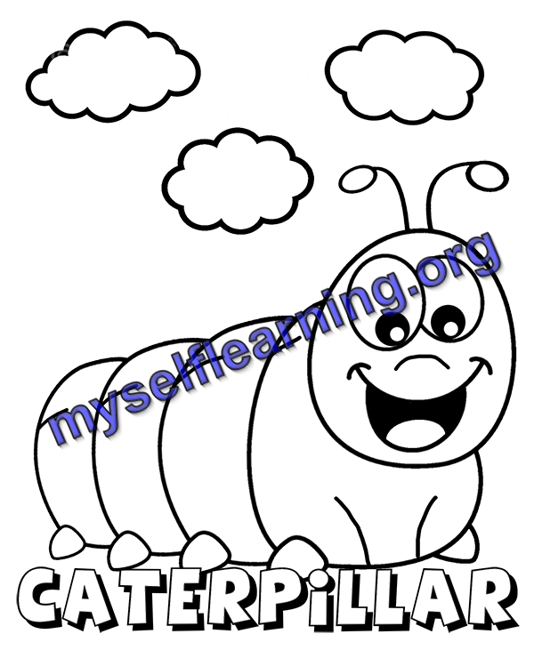 Insects coloring sheet instant download