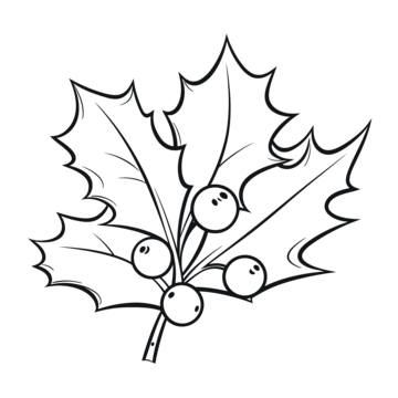 Holly drawing png transparent images free download vector files