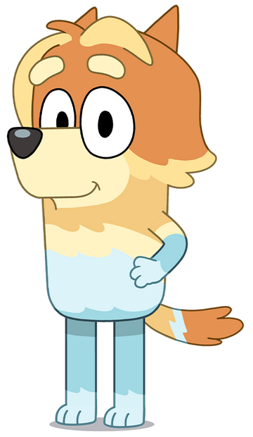 Radley heeler bluey wiki