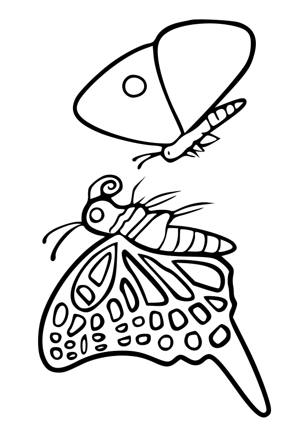 Butterfly coloring pages free printable nurie