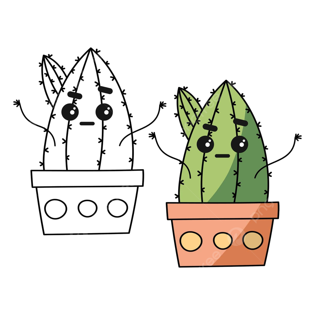 Cactus plants coloring page png transparent images free download vector files