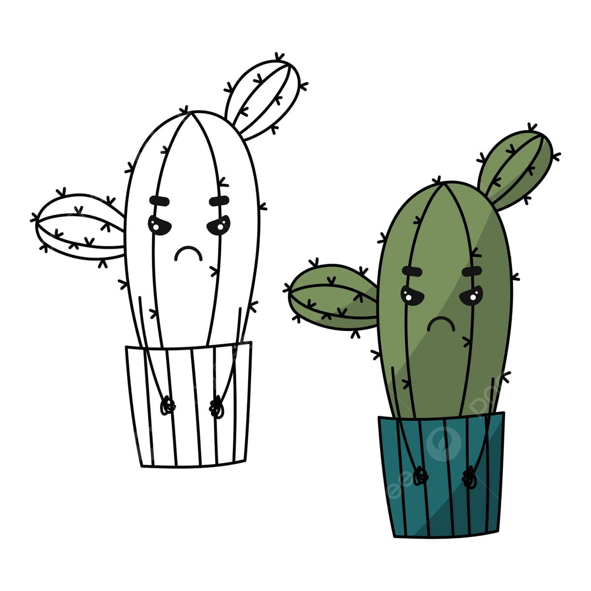 Cactus plants coloring page png transparent images free download vector files