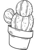 Cactus coloring pages free coloring pages