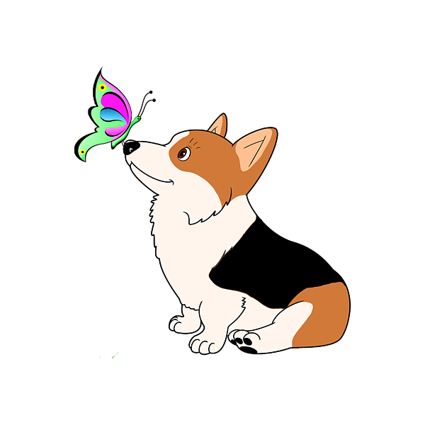 Tricolor corgi with butterfly ornament by kathy kelly