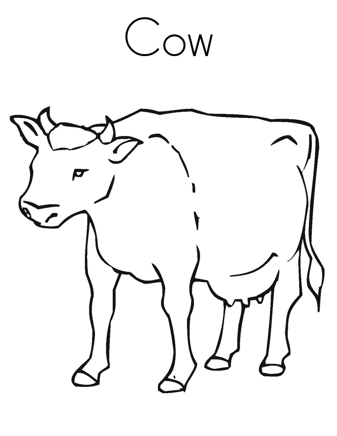 Free printable cow coloring pages for kids cow coloring pages coloring pages animal coloring pages