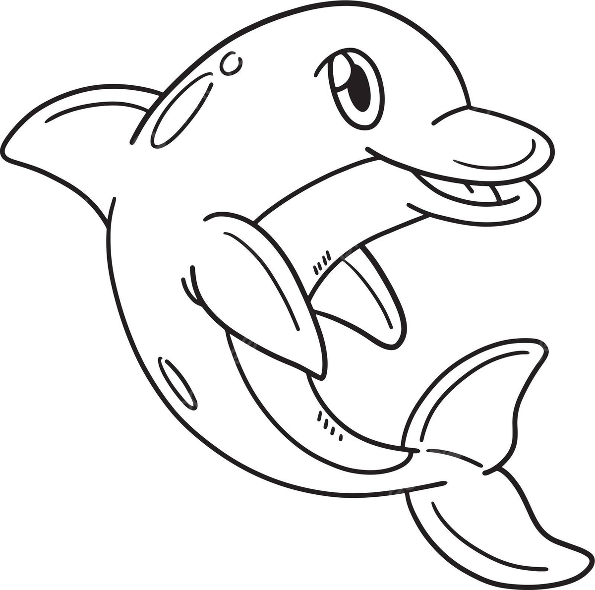 Dolpn animal isolated coloring page for kids art grapc page vector art grapc page png and vector with transparent background for free download