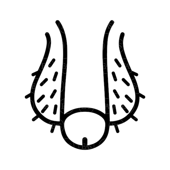 Penis with hairy balls svg clip art icon vector cut file for cricut silhouette pdf png dxf eps sticker decal vinyl stencil pin