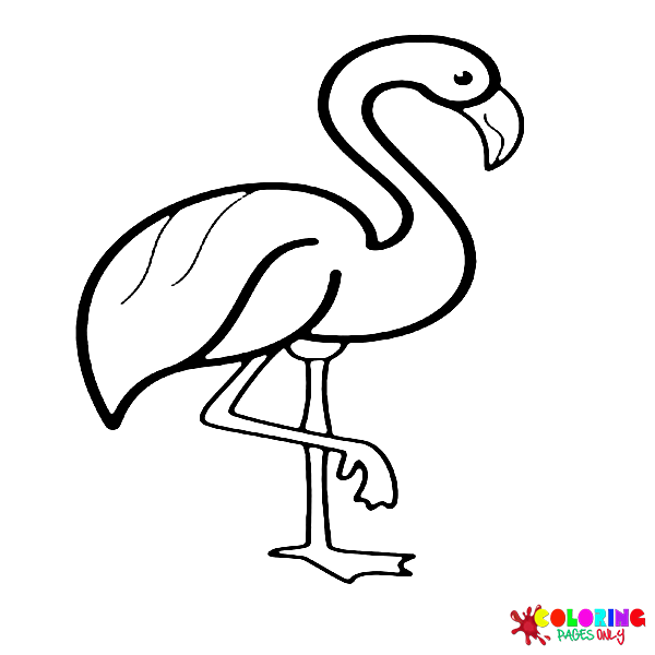 Flamingo coloring pages