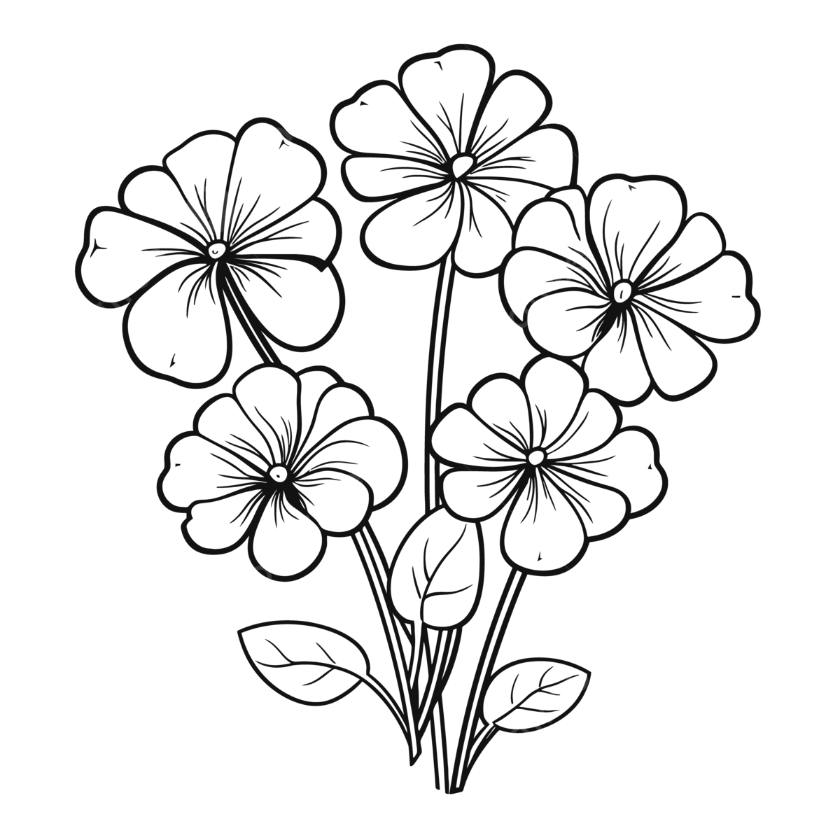Black and white flower coloring pages outline sketch drawing vector flower drawing wing drawing ring drawing png and vector with transparent background for free download