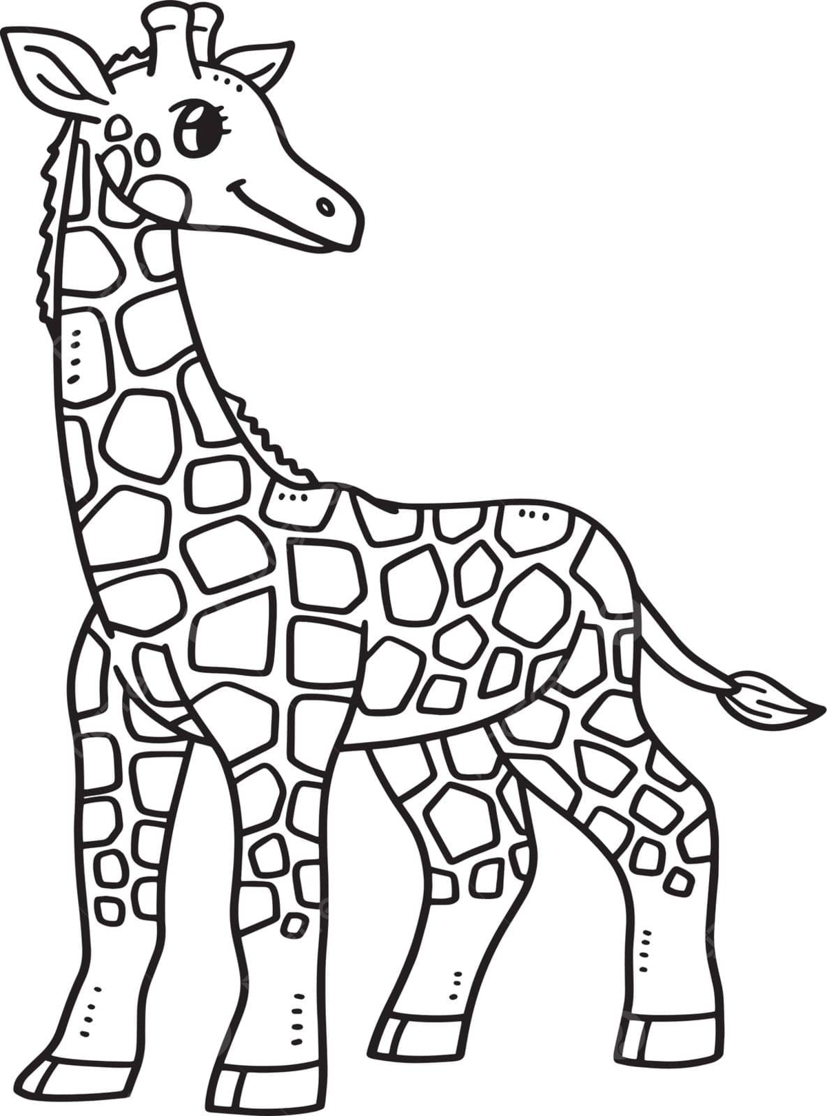 Giraffe calf png transparent images free download vector files