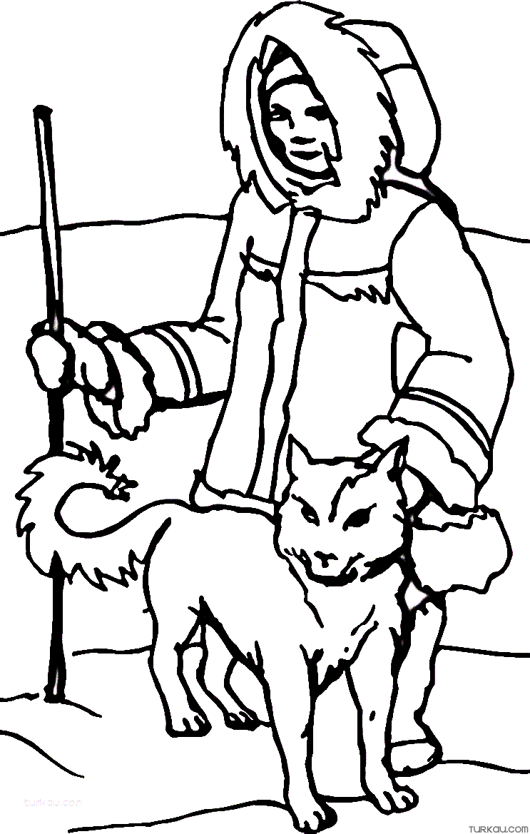 Husky siberian stick coloring page