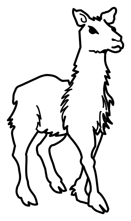 Monochrome photographycarnivoranhorn png clipart