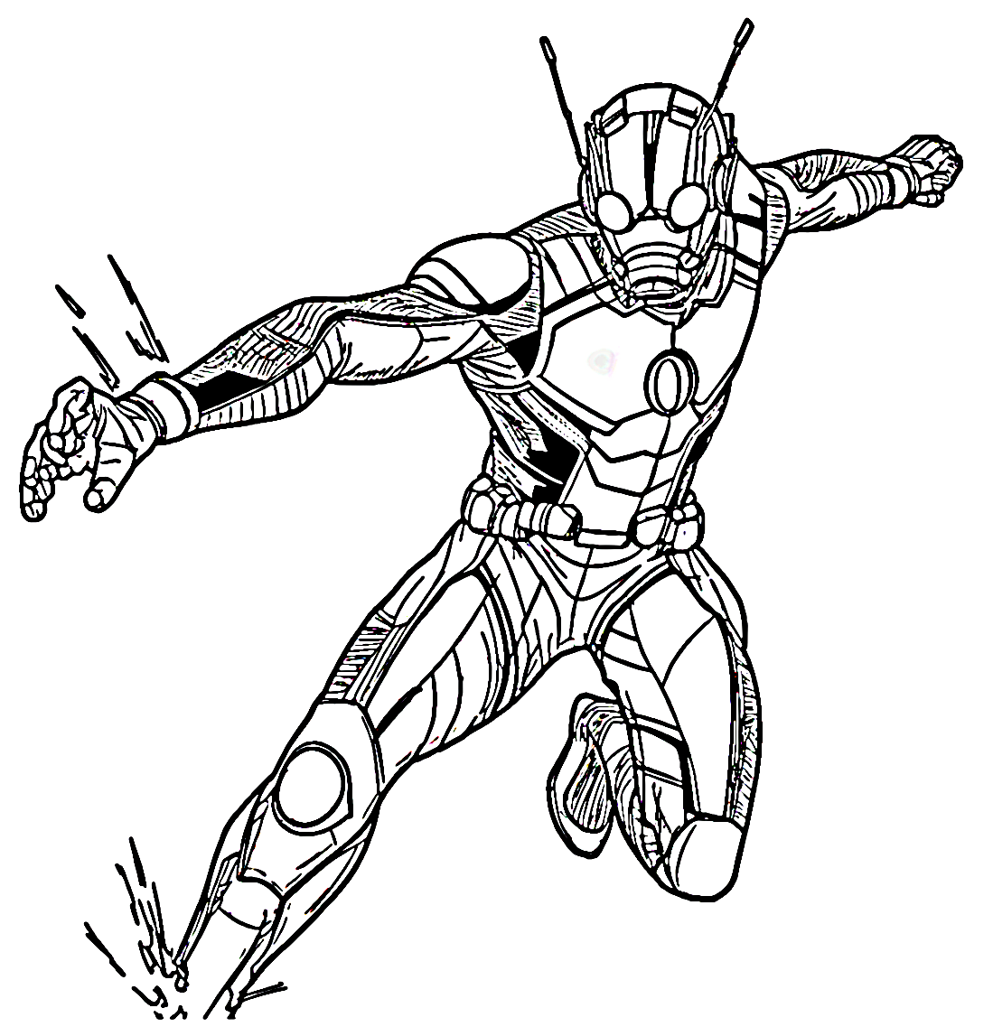 Ant