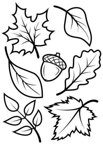Fall leaves and acorn coloring page from fall category select from â basteln herbst blattschablone basteln herbst fensterbild