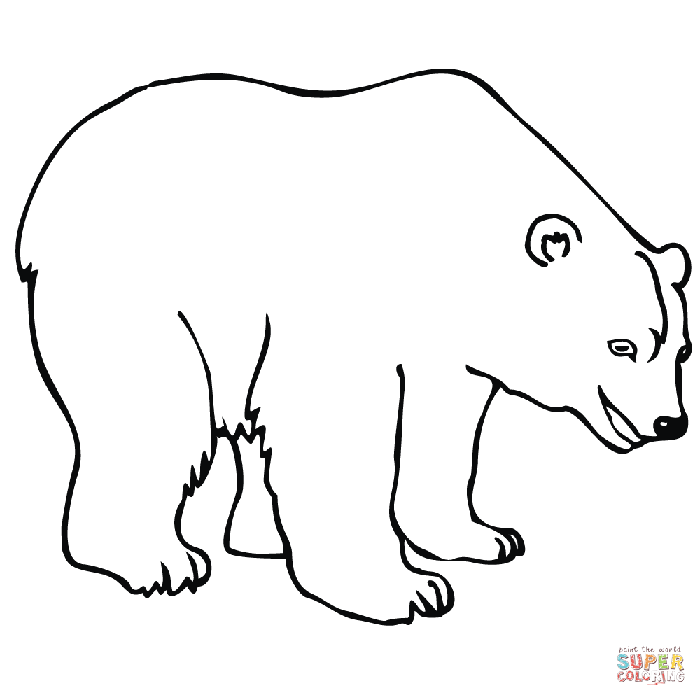 Polar bear coloring page free printable coloring pages