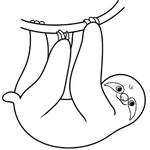 Sloth coloring pages printable for free download