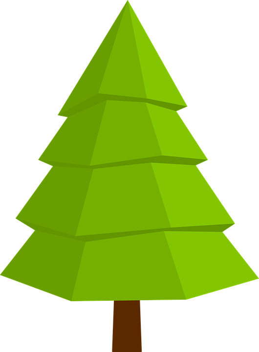 Download fir tree nature tree royalty