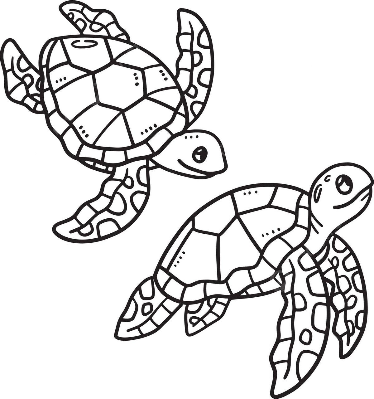 Baby turtle isolated coloring page for kids vector line coloring page vector vector line coloring page png and vector with transparent background for free download