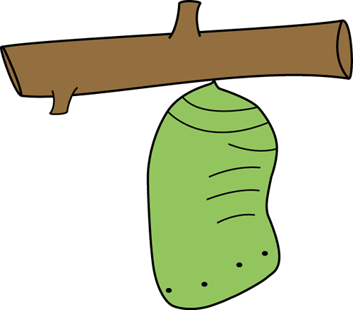 Butterfly chrysalis clip art