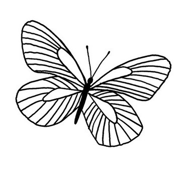 Butterfly coloring pages beautiful butterflies to color butterfly coloring page coloring pages bunny coloring pages