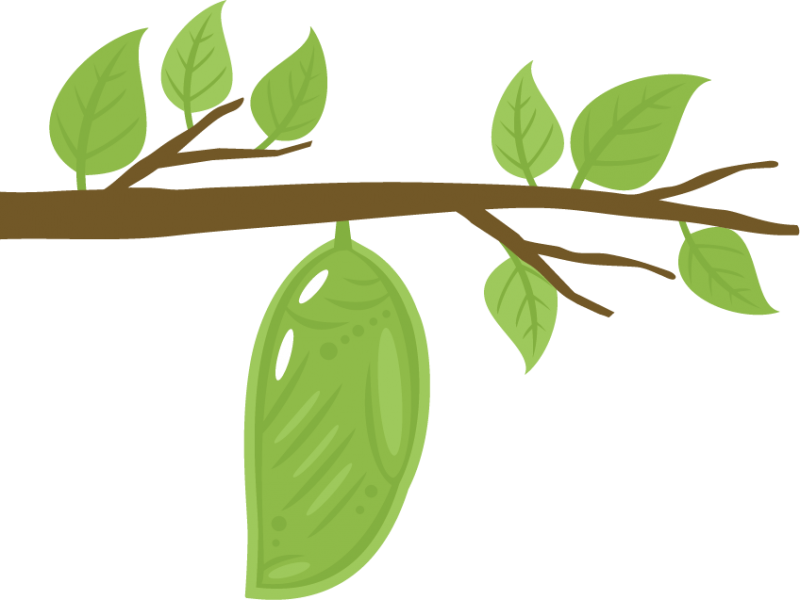Chrysalis svg cutting file chrysalis svg cut file for cutting machines scrapbooking chrysalis clipart