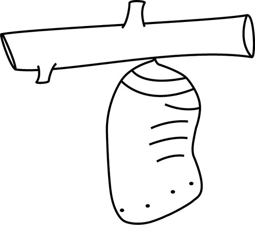 Black and white butterfly chrysalis clip art