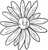 Daisy coloring pages free coloring pages