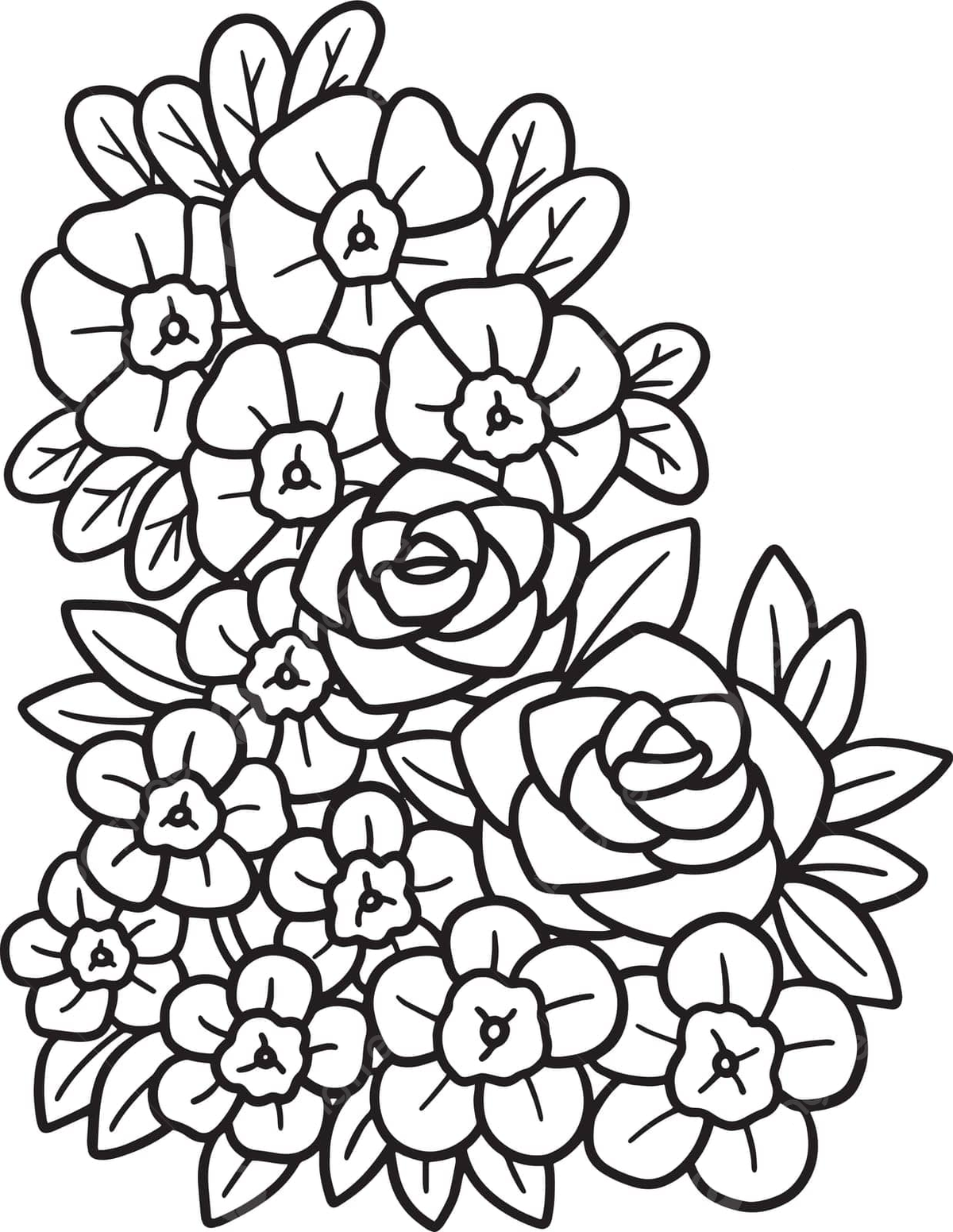 Colourful flower coloring page png transparent images free download vector files